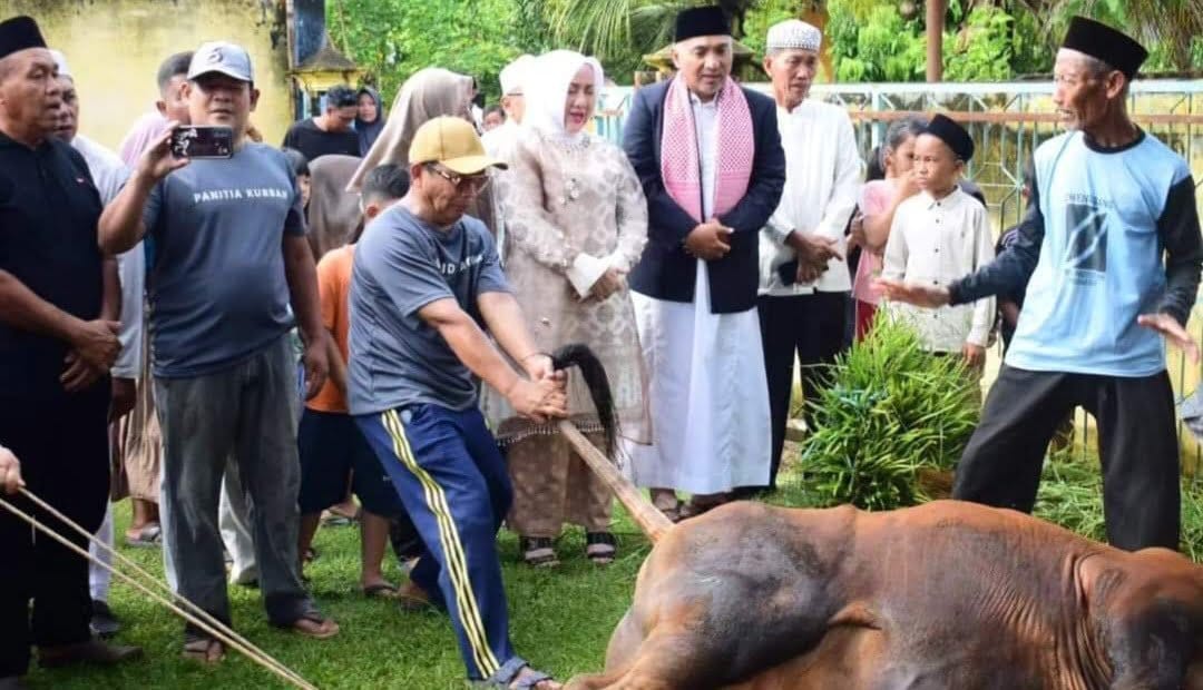Tahun ini, Bupati Musirawas Qurban 27 Ekor Sapi dan 2 Kambing
