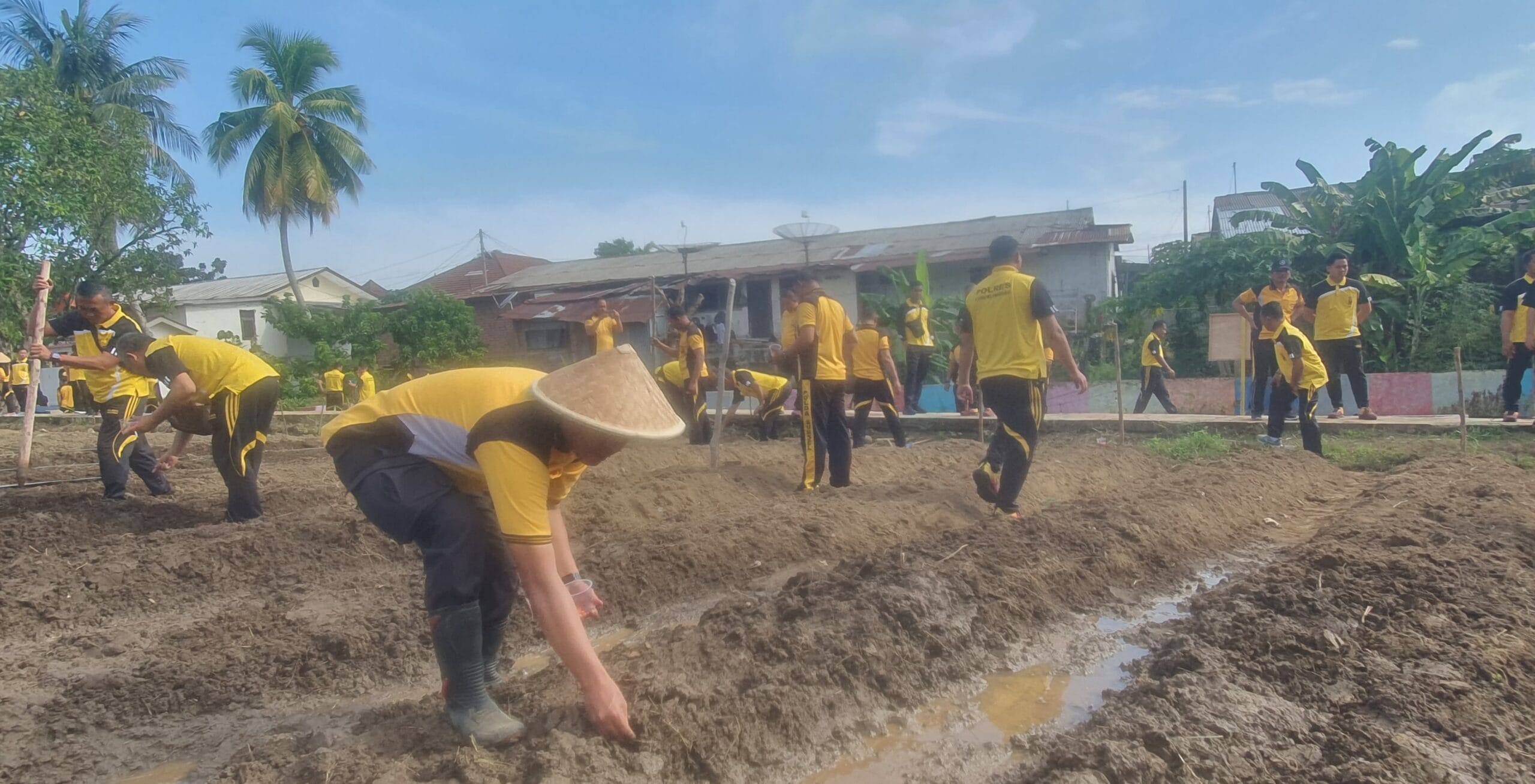 Kapolres LubukLinggau di Dampingi Wakapolres Menggelar Kegiatan Pemanfaatan Lahan Ketahanan Pangan Dengan Menanam Berbagai Tanaman Produktif dan Menebar Ribuan Bibit Ikan