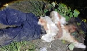 Massa Hajar Mantan Kanit Reskrim Polsek Talun Kenas