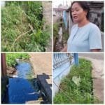 Pemerintah Kelurahan Pelita Jaya Dinilai Tutup Mata
