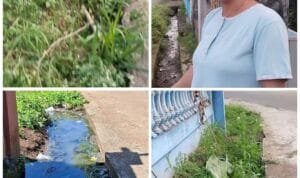 Pemerintah Kelurahan Pelita Jaya Dinilai Tutup Mata