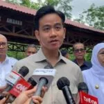 Gibran Akan Berkantor di Papua, Dapat Penugasan Khusus dari Prabowo