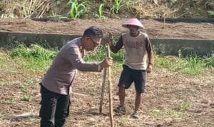 Kapolsek Lubuk Linggau Timur  1 ,  AKP Rodiman  Melakukan Peninjauan Langsung ke Lahan P2L