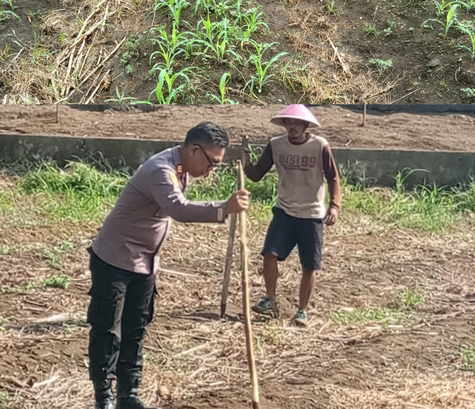 Kapolsek Lubuk Linggau Timur 1 , AKP Rodiman Melakukan Peninjauan Langsung ke Lahan P2L