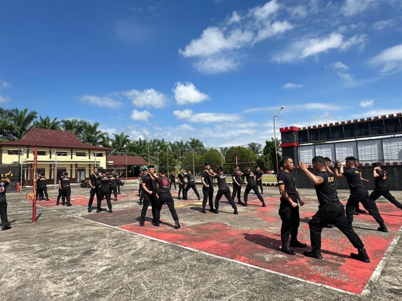 Pertajam Insting Tempur, Batalyon B Pelopor  Giatkan Latihan Tarung Derajat