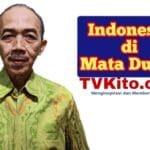 Demontrasi Massal Indonesia Menjadi Sorotan Dunia Internasional :  Apakah ada Pelanggaran HAM dalam Penanganan Demontrasi dan Apa Kebijakan Politiknya