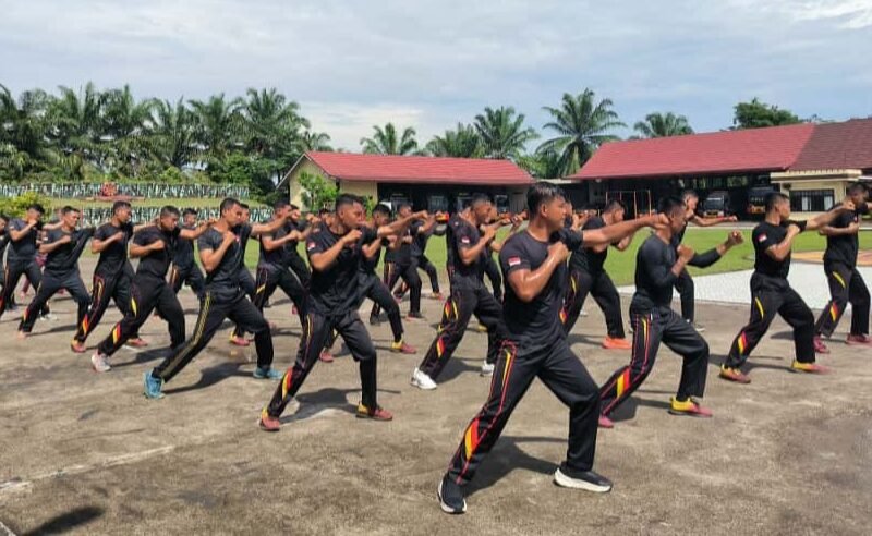 Batalyon B Pelopor Tingkatkan Kesiapsiagaan Lewat Latihan Tarung Derajat