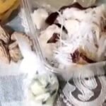 Miris! Warga Lubuklinggau Soroti Kualitas Makanan Program MBG: “Harganya Rp15 Ribu, Isinya Tak Sampai Rp4.000!”