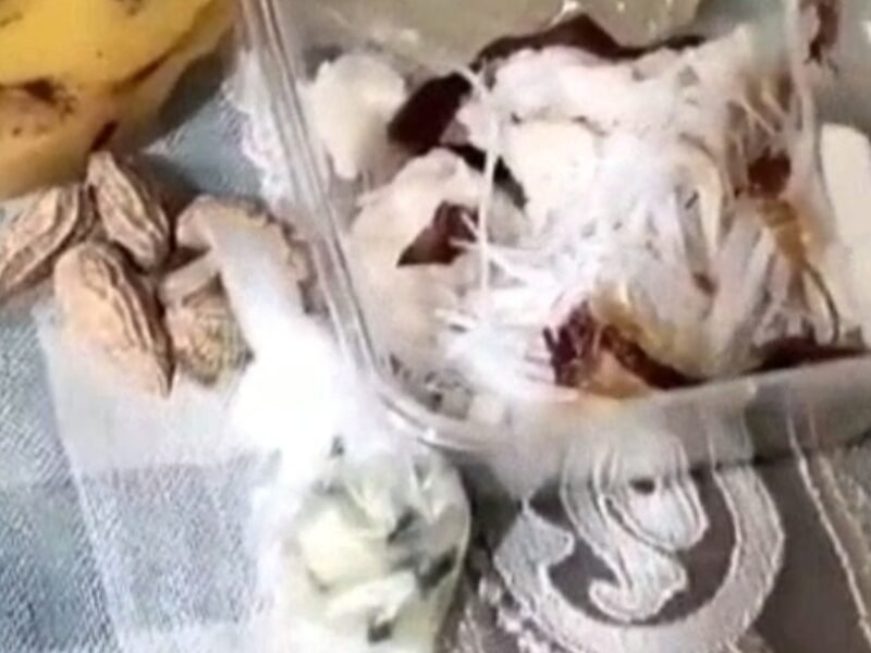 Miris! Warga Lubuklinggau Soroti Kualitas Makanan Program MBG: “Harganya Rp15 Ribu, Isinya Tak Sampai Rp4.000!”