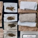 Sat Res Narkoba Ungkap Kasus Ganja di Operasi Pekat Musi 2026, Empat Tersangka Diamankan