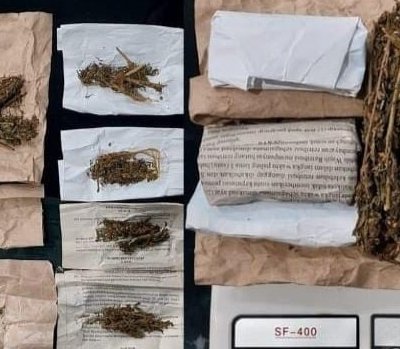 Sat Res Narkoba Ungkap Kasus Ganja di Operasi Pekat Musi 2026, Empat Tersangka Diamankan