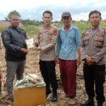 Polsek Lubuk Linggau Selatan I Dukung Ketahanan Pangan, Serahkan Bibit Jagung ke Kelompok Tani Siring Agung