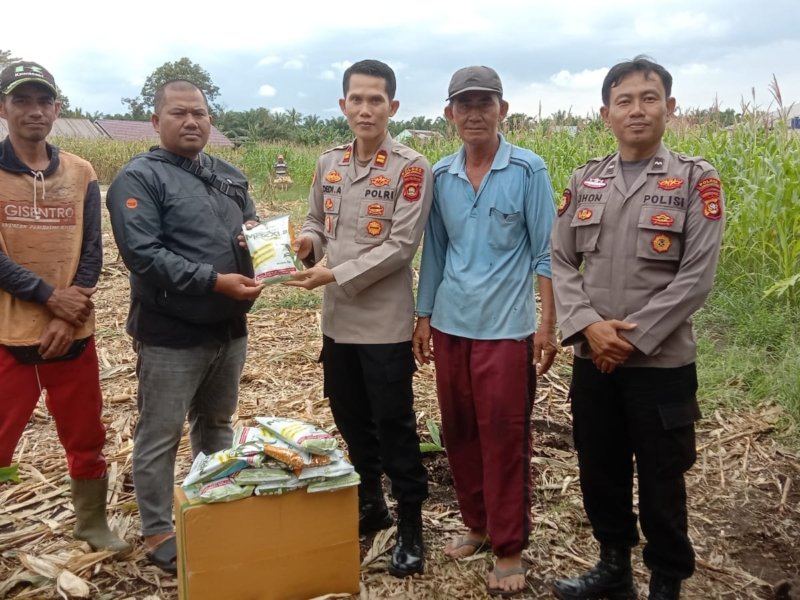 Polsek Lubuk Linggau Selatan I Dukung Ketahanan Pangan, Serahkan Bibit Jagung ke Kelompok Tani Siring Agung