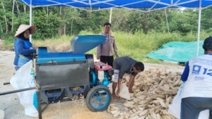 Polsek Lubuk Linggau Utara I Dampingi Panen Jagung, Uji Mesin Pipil Tingkatkan Produktivitas Petani