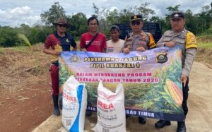 Polsek Lubuk Linggau Timur Tanam Jagung Serentak, Dukung Ketahanan Pangan Nasional