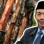 Penyadapan Getah Pinus Ilegal di Gunung Ciremai, ASH: Kejahatan Ekologis Tak Boleh Ditoleransi