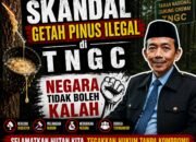 Skandal Getah Pinus Ilegal di TNGC: Negara Tidak Boleh Kalah  Oleh: Aceng Syamsul Hadie