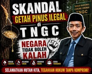 Skandal Getah Pinus Ilegal di TNGC: Negara Tidak Boleh Kalah  Oleh: Aceng Syamsul Hadie