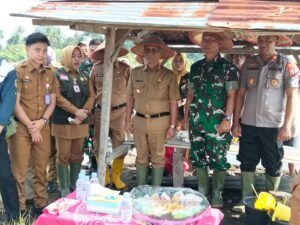 Gerakan Tanam Padi Serentak, Strategi Lubuk Linggau Hadapi Ancaman El Niño 2026