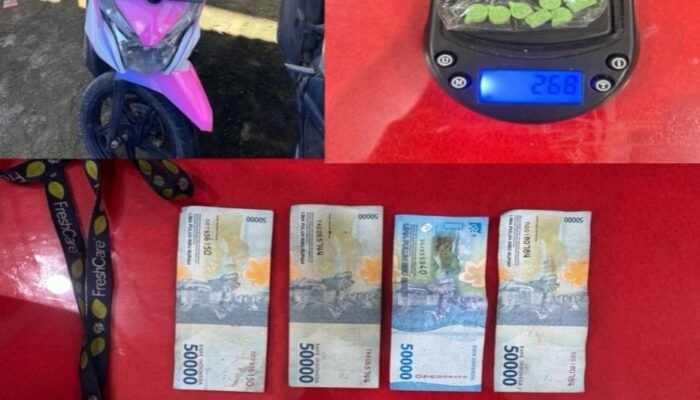Polisi Ringkus Pemuda Pengedar Ekstasi di Lubuk Linggau, 8 Butir Pil Logo WhatsApp Diamankan
