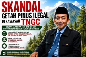 Skandal Getah Pinus Ilegal TNGC || ASH: Dugaan Kejahatan Terstruktur dan Ujian Serius Penegakan Hukum Lingkungan