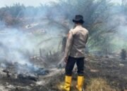 Titik Panas Muncul di Semeteh, Personel Polsek Muara Lakitan Polres Musi Rawas Sigap Cek Lokasi Karhutla