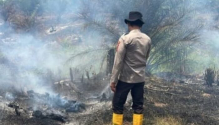 Titik Panas Muncul di Semeteh, Personel Polsek Muara Lakitan Polres Musi Rawas Sigap Cek Lokasi Karhutla